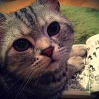 Avatar of 松本愛