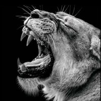 LONGMAN (@omo_gigun) 's Twitter Profile Photo