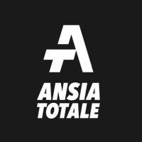 Ansia Totale(@ansia_totale) 's Twitter Profile Photo