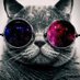 Gato 😼😎 (@gato_ax50) Twitter profile photo Gato 😼😎 (@gato_ax50) Twitter profile photo