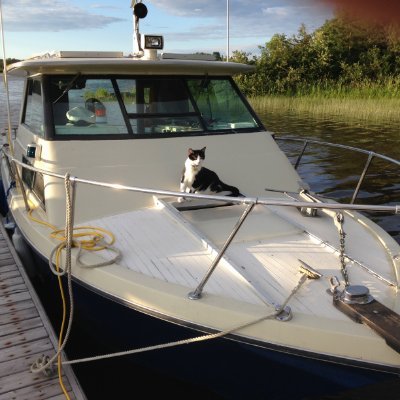 GeorgRada's profile picture. Amateur de bateau,bon buff,et Gin avec gingembre,curcuma,et miel