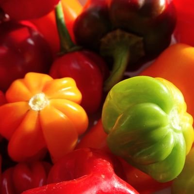 Paperback731's profile picture. 