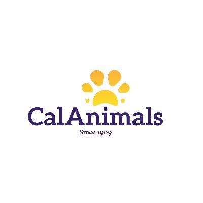 animal welfare association near me