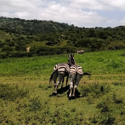 1RadioFan's profile picture. Im just here for a good time not a long time...