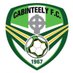 Cabinteely FC (@Cabinteely_FC) Twitter profile photo