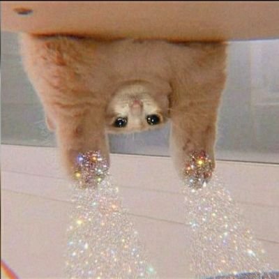 FreakEXE's profile picture. 23yo  ./.
video game artist 🖌️🕹️