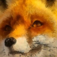 Lignab (@lignon_nabla) 's Twitter Profile