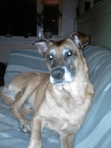 wimhuibers's profile picture. 