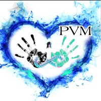 Partnership Vision Ministries(@PVisionM) 's Twitter Profile Photo