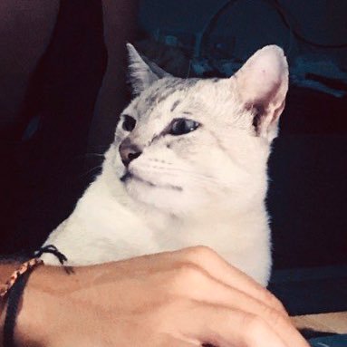 GoCryptoMachine's profile picture. Digital artist