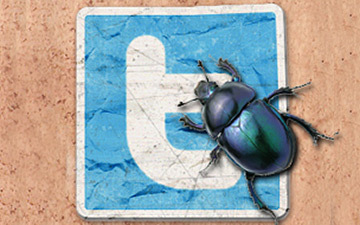 kannankings's profile picture. 