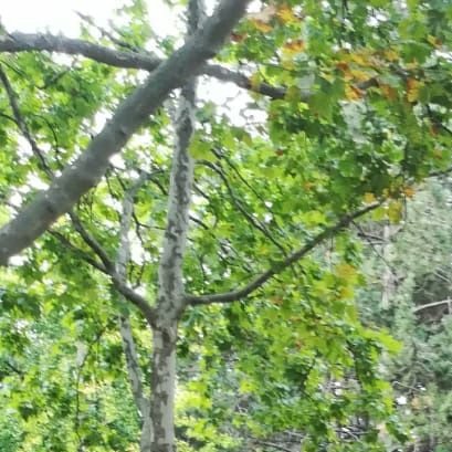 Amadata360's profile picture. Life is great ! Let's smile !