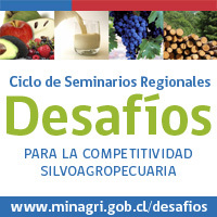 Seminarios Desafíos para la Competitividad Silvoagropecuaria, es una serie de eventos regionales con participación pública privada.