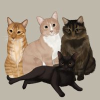 mango and nugget and tiny panther and tito (@mango_tp) 's Twitter Profile