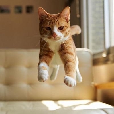 starlight_0_0's profile picture. 2n 헛소리 90 + 창작물 10