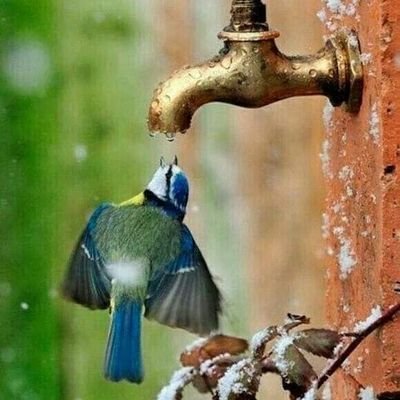 vTmSvyCyawLcV8H's profile picture. ‏لا إله إلا الله