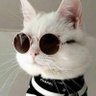 martapernas_'s profile picture. A Coruña, Galicia