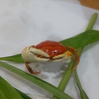 FELT47584085's profile picture. 