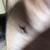 anas (@anas57850335) Twitter profile photo anas (@anas57850335) Twitter profile photo