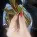 غزال (@atzsmswo4nkedqq) Twitter profile photo غزال (@atzsmswo4nkedqq) Twitter profile photo