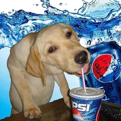 Cradiggity's profile picture. I like to play video games, that’s all. Have a good day :)