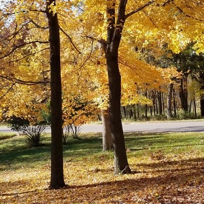 casperprincess9's profile picture. 