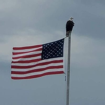 MatthewOry's profile picture. 