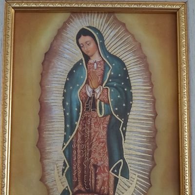 edgardsi1's profile picture. Hay personas que ante lo innegable, prefieren simular desconocimiento antes que reconsiderar sus ideas