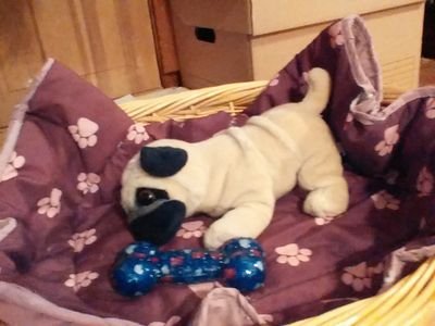 Ilgeintheshower's profile picture. 