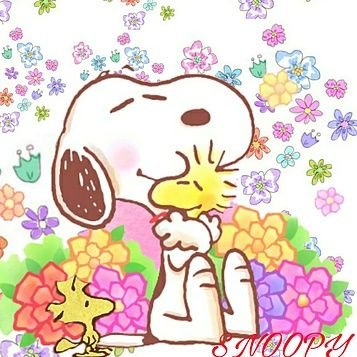 inoru_eln's profile picture. 美味しいもの🍴と我が家のかわいいワンコたち🐾が生きがい/嵐💙/スヌーピー❤/無言フォロー失礼します🙇‍♀