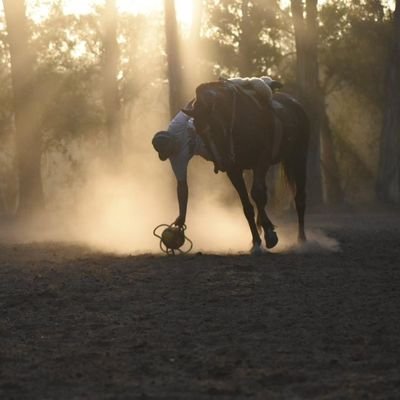 gartner_tomi's profile picture. viva a lo loco que lo bueno dura poco