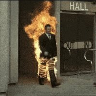 BillMcD56089645's profile picture. 