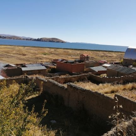 Tavel96220045's profile picture. Unico