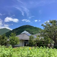 神奈川県立秦野ビジターセンター (@hadanovc) 's Twitter Profile