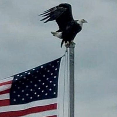 Conservative, lawyer, and constitutionalist. Nullius in Verba.
#ConventionOfStates #SlavaUkraini