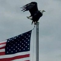 🇺🇸 On the North Coast 🇺🇸(@usanorthcoast) 's Twitter Profile Photo