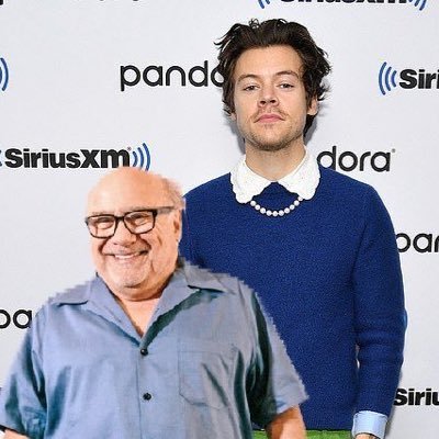 daily updates on the power couple that is Harry styles and Danny Devito. #hevitonation -owners @goldencherryhes @19chuckyt