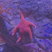 Smel🫧 (@smellllllllllll) 's Twitter Profile