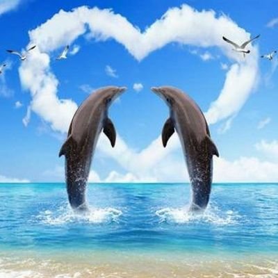 brickey_angela's profile picture. just happy being a mom