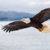 theBlondeEagle (@eaglesflyy7) Twitter profile photo theBlondeEagle (@eaglesflyy7) Twitter profile photo