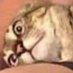 sam (@sam0573_) Twitter profile photo sam (@sam0573_) Twitter profile photo