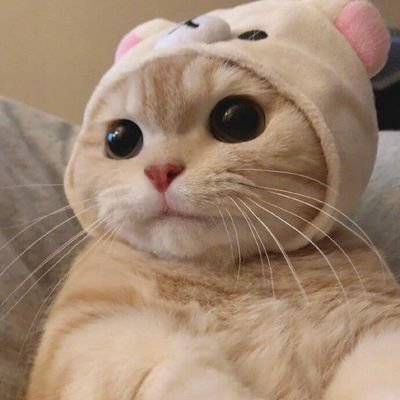 IndahPrmt111's profile picture. 