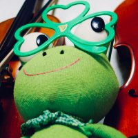 froggy flag (@froggy_flag) 's Twitter Profile
