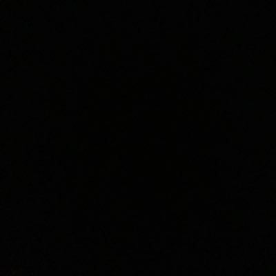 xingzimo1's profile picture. 
