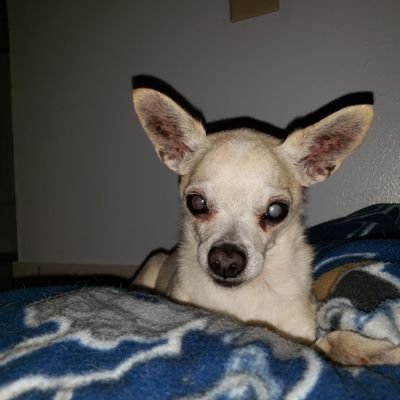 MikeDHTOWN's profile picture. 