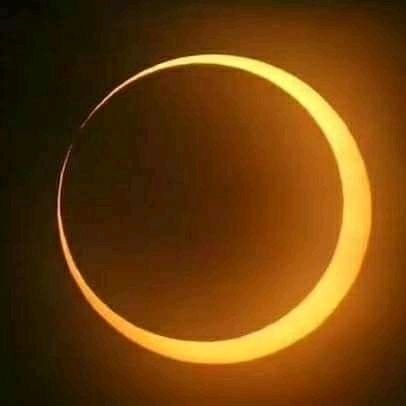 Promise10637494's profile picture. .