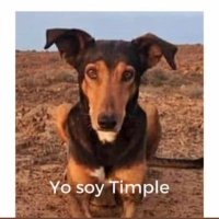 🐸 PePiTA GrILLa🐸 (@pixiesrichie) 's Twitter Profile