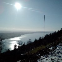 Freadward (@freadward1) 's Twitter Profile