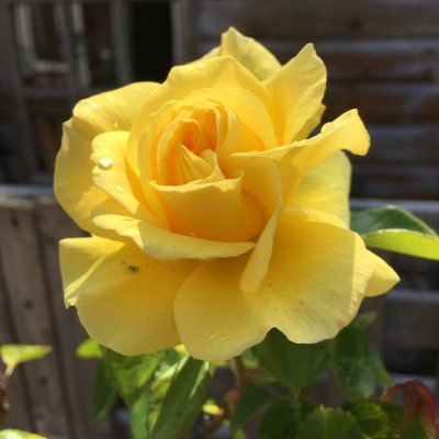 GillFrost9's profile picture. I am a Dogs RealAle and outdoor kind of person, hate bullies, cruelty and injustice of all forms.