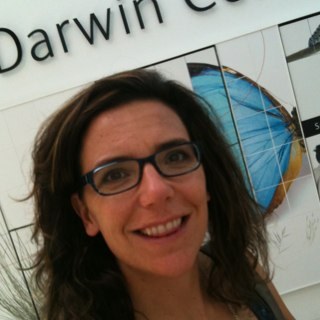 elenaamelia's profile picture. museums and galleries are my thing. views are my own.